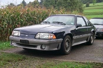 P0000537small.jpg (25041 Byte)